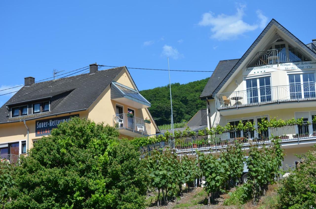 エンキルヒ Weingut Sauer-Kettermannヴィラ エクステリア 写真