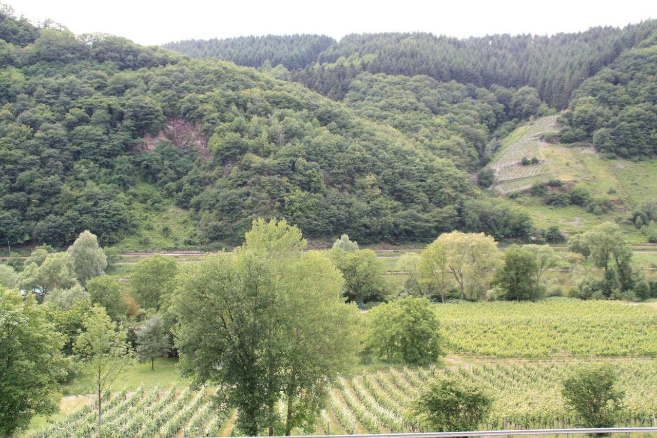 エンキルヒ Weingut Sauer-Kettermannヴィラ エクステリア 写真