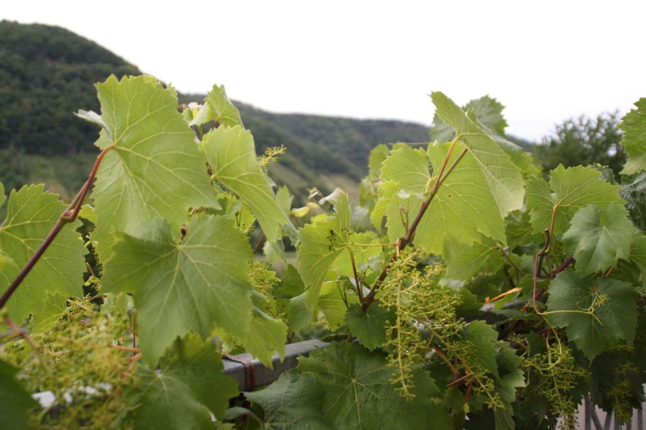 エンキルヒ Weingut Sauer-Kettermannヴィラ エクステリア 写真