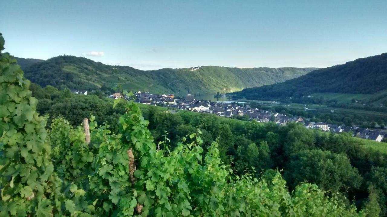 エンキルヒ Weingut Sauer-Kettermannヴィラ エクステリア 写真