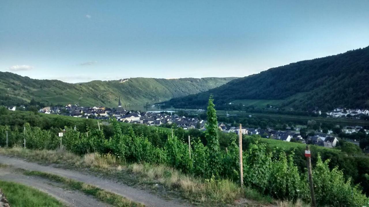エンキルヒ Weingut Sauer-Kettermannヴィラ エクステリア 写真