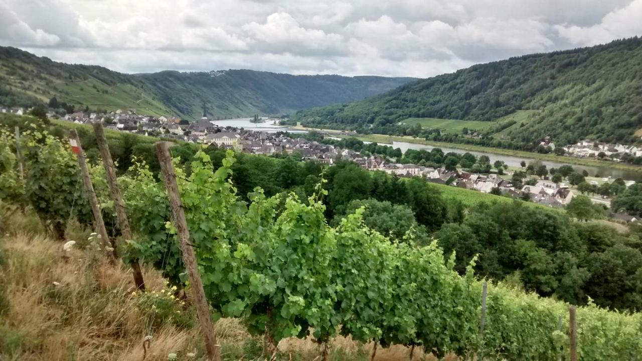 エンキルヒ Weingut Sauer-Kettermannヴィラ エクステリア 写真