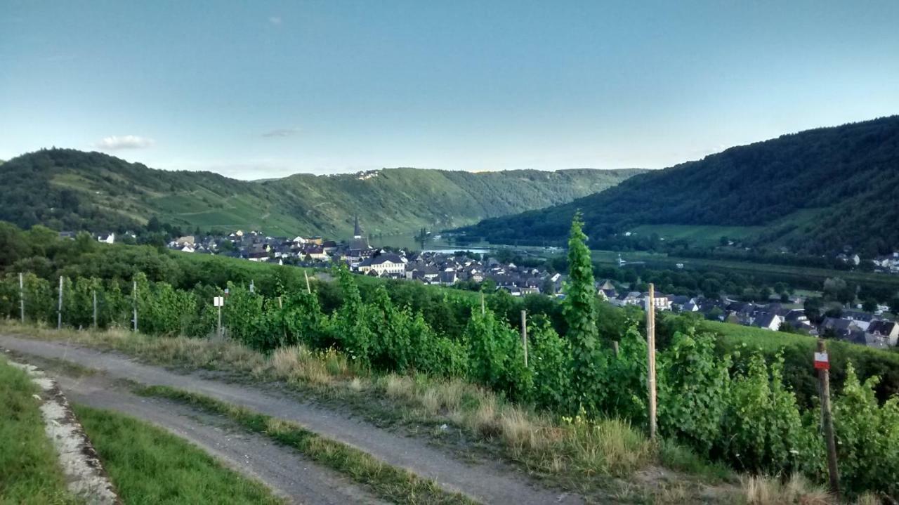 エンキルヒ Weingut Sauer-Kettermannヴィラ エクステリア 写真